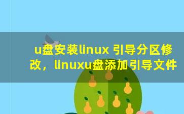 u盘安装linux 引导分区修改，linuxu盘添加引导文件